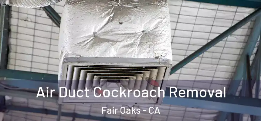  Air Duct Cockroach Removal Fair Oaks - CA