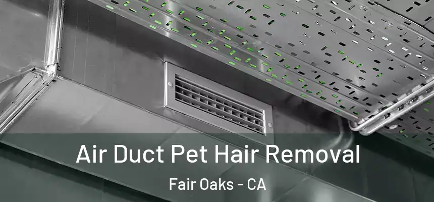 Air Duct Pet Hair Removal Fair Oaks - CA