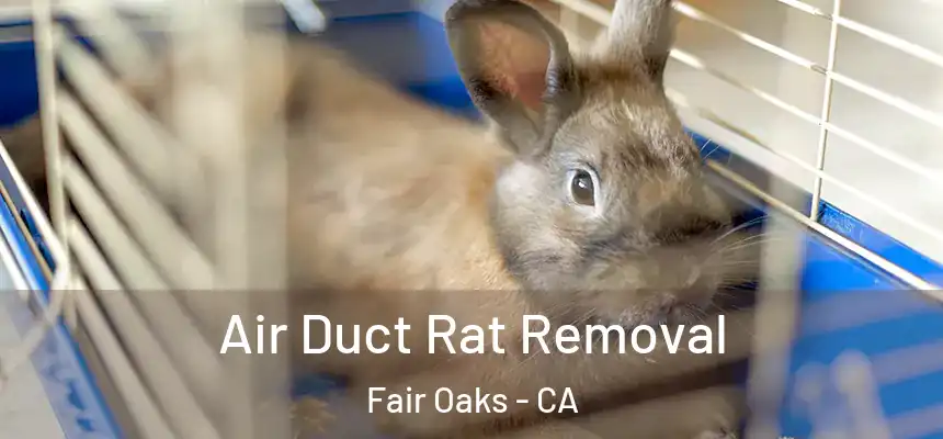  Air Duct Rat Removal Fair Oaks - CA