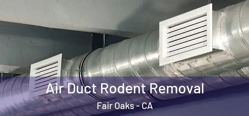  Air Duct Rodent Removal Fair Oaks - CA