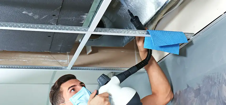 Our Air Duct Rodent Removal Services in Fair Oaks, CA