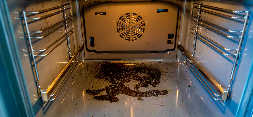 Our Dryer Vent Mold Cleaning Services in Fair Oaks, CA