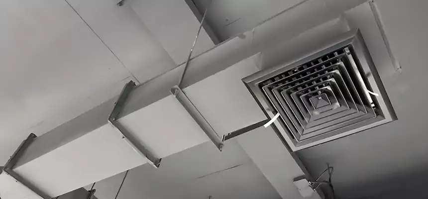 Our Rodent Droppings In Vents Services in Fair Oaks, CA