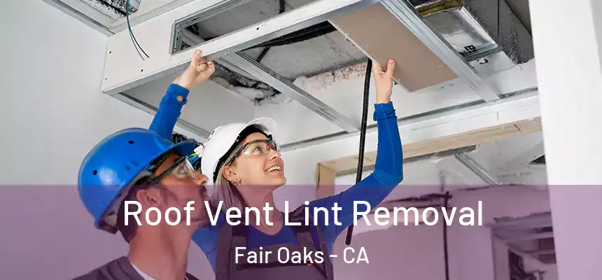 Roof Vent Lint Removal Fair Oaks - CA