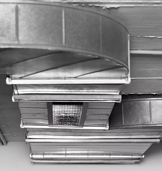 Professional Air Duct Pest Removal in Fair Oaks, CA