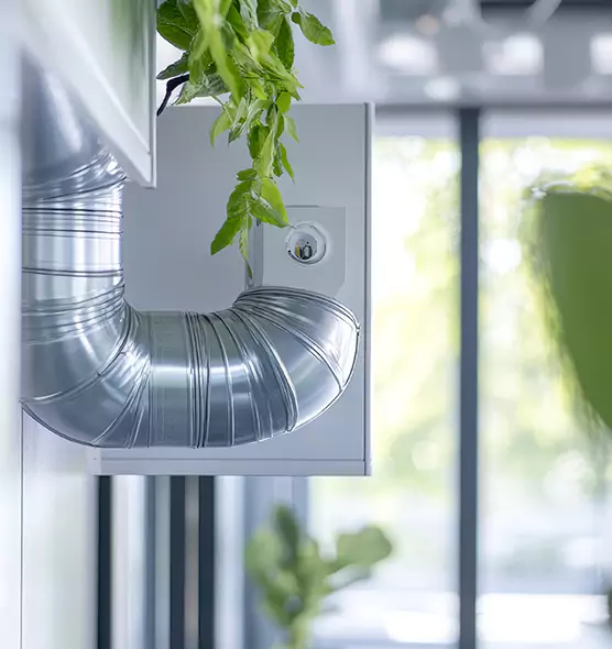 Professional Eco-Friendly Duct Cleaning Services in Fair Oaks, CA