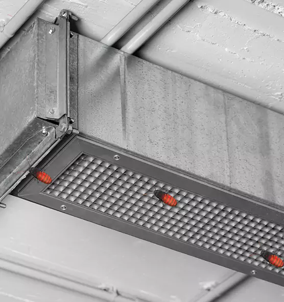 Affordable Insect Removal from Air Ducts in Fair Oaks, CA