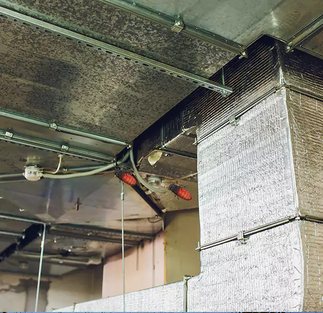 Why Homeowners & Businesses Trust Us in Fair Oaks, CA?