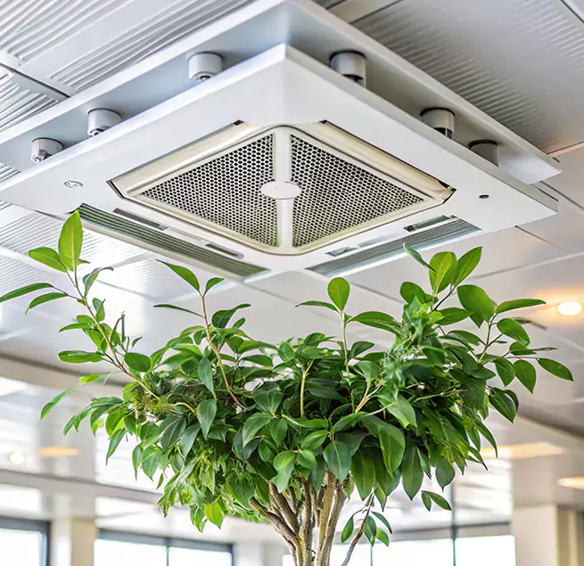 Why Homeowners & Businesses Trust Us in Fair Oaks, CA?